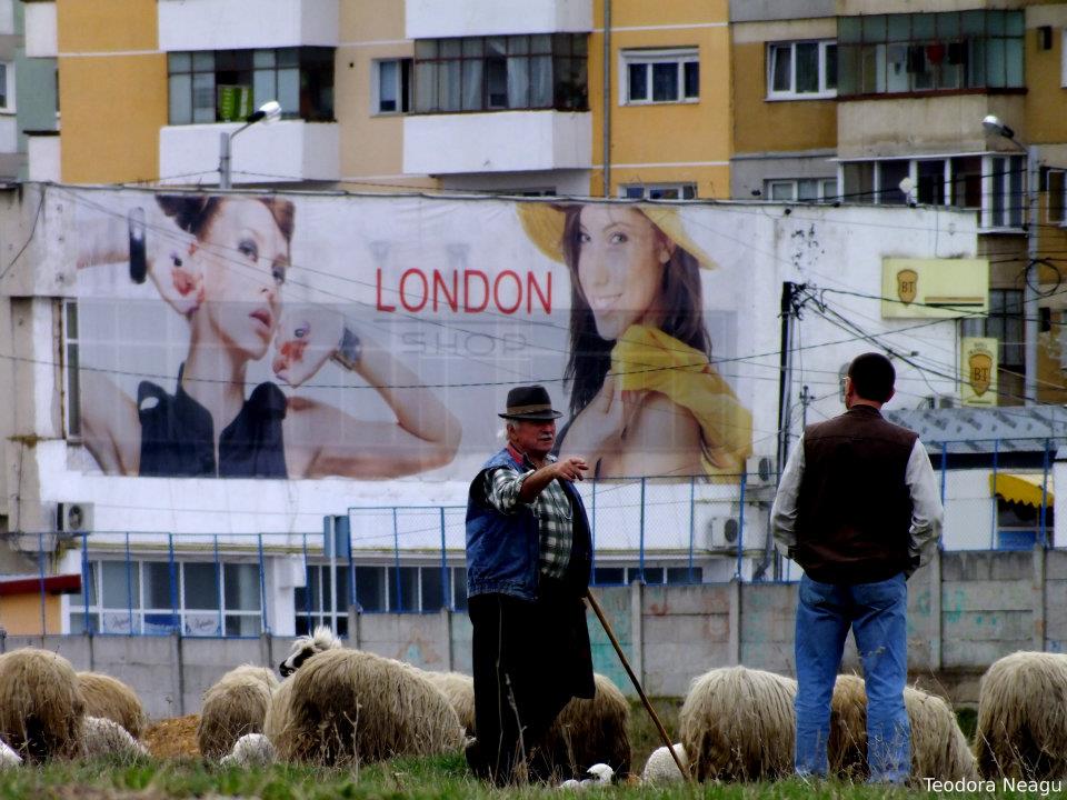 Sibiu- contraste