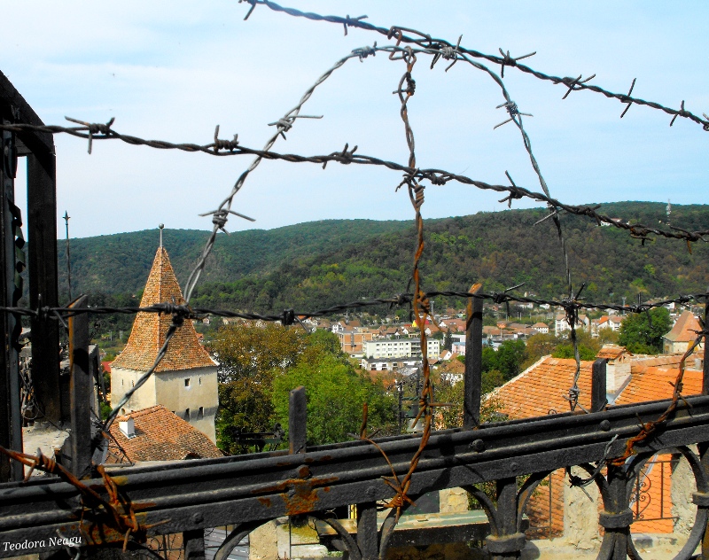 SIghisoara