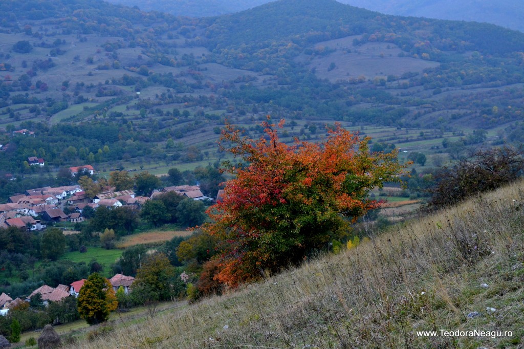 Rimetea Romania (10)