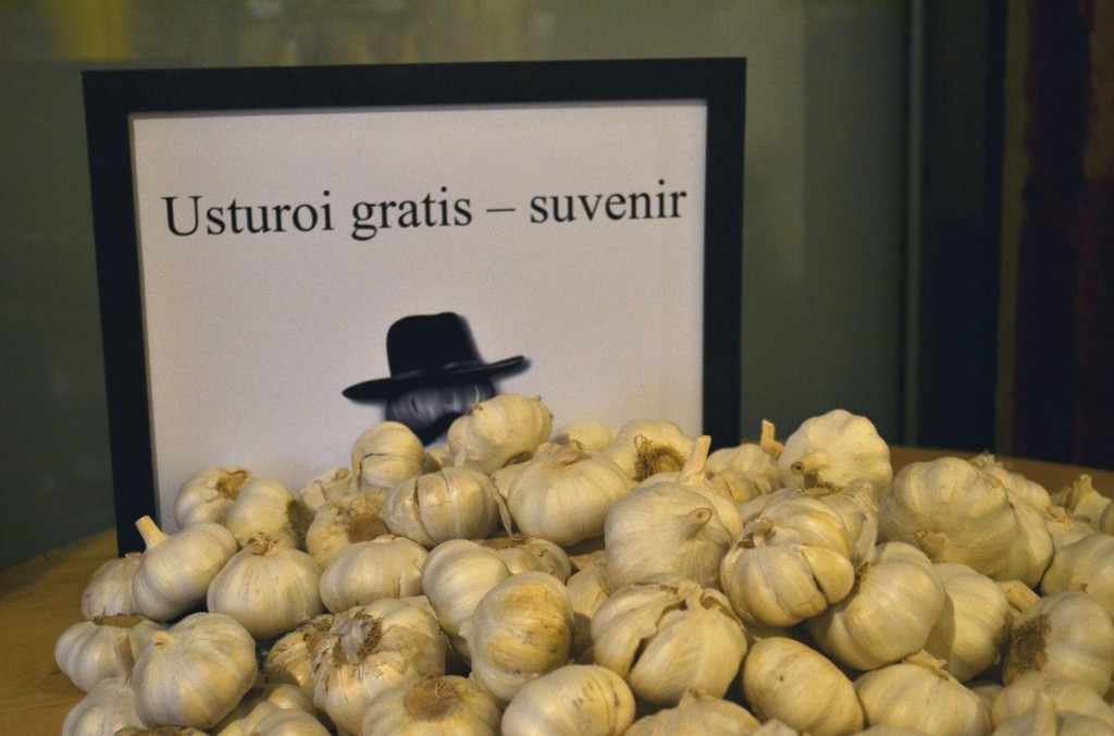 Filmul Usturoi Groparu TeodoraNeagu (3)