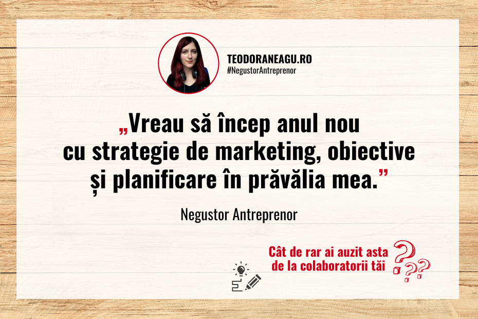 Strategie de marketing planificare ecommerce Teodoraneagu.ro-1