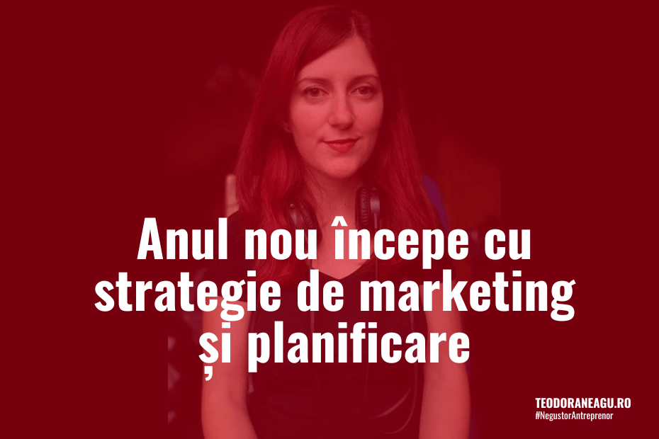 Strategie de marketing planificare ecommerce Teodoraneagu.ro